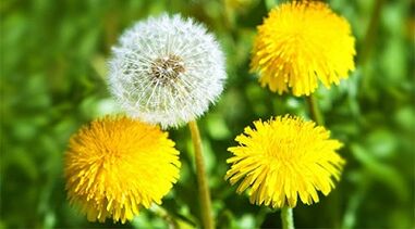 metode de îndepărtare a papiloamelor folosind remedii populare